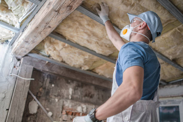 Best Insulation Maintenance and Repair in Maplewood, WA